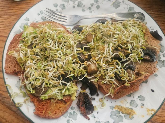 Lentil pancakes with sprouts and mushrooms
