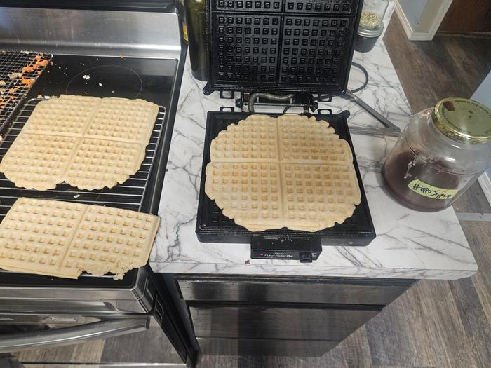 [Thumbnail for 20251105_071326.jpg]