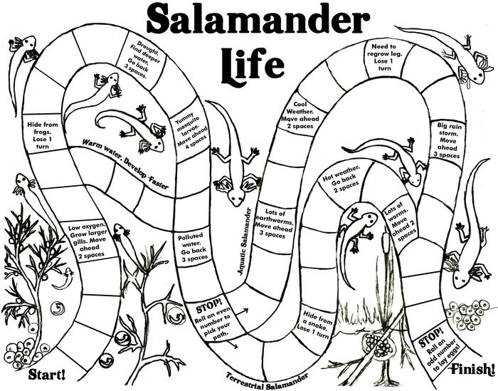 Click image to get a full-size printable version of the Salamander board game