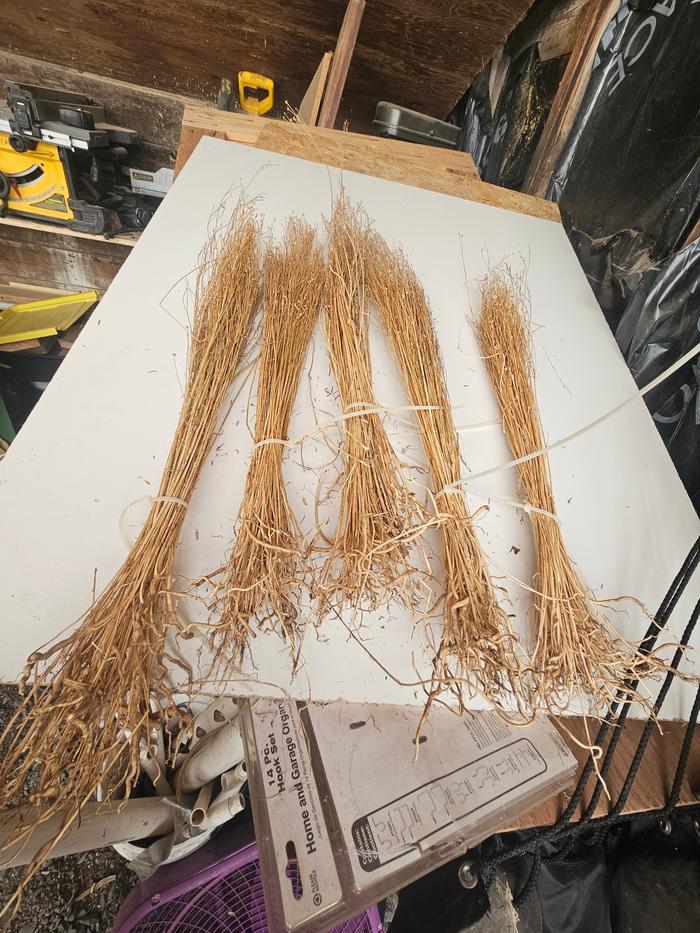 I saved six little strookes of flax stems. (This is 5 of them. One i had already begun processing)
