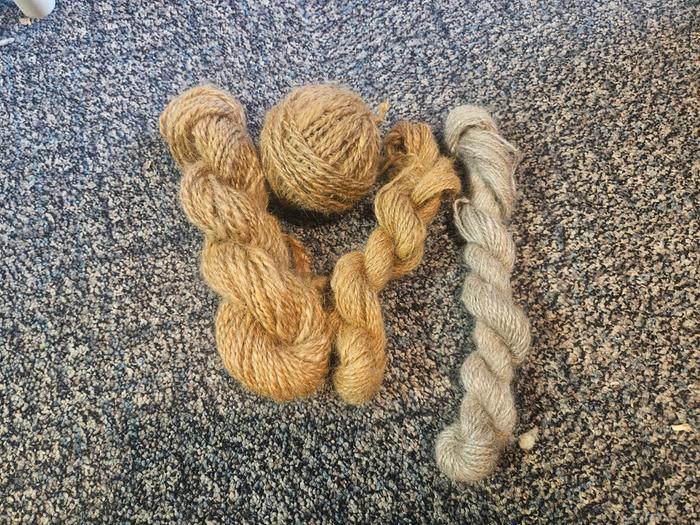 Three dyed skeins with a plain one on the right for comparison 