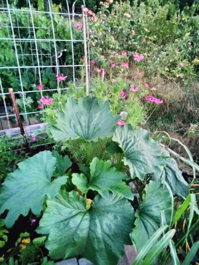 [Thumbnail for IMG20240612204609.jpg]