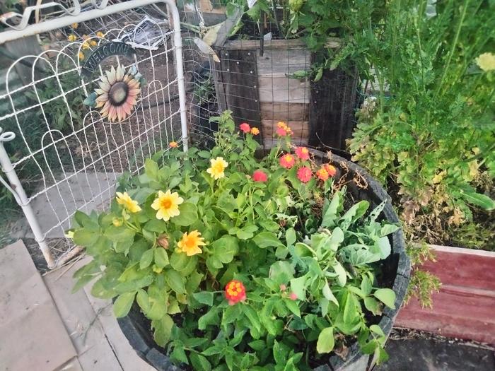 [Thumbnail for IMG20240610204232.jpg]