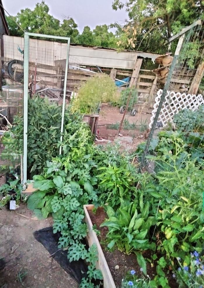 [Thumbnail for IMG20240612204631-2.jpg]