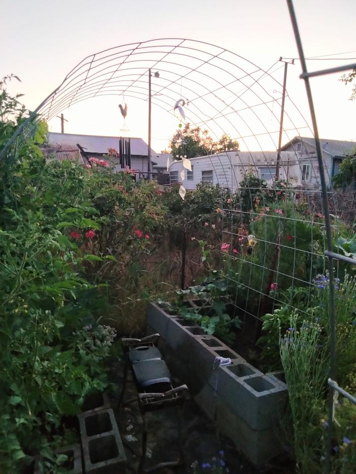 [Thumbnail for IMG20240612204825.jpg]