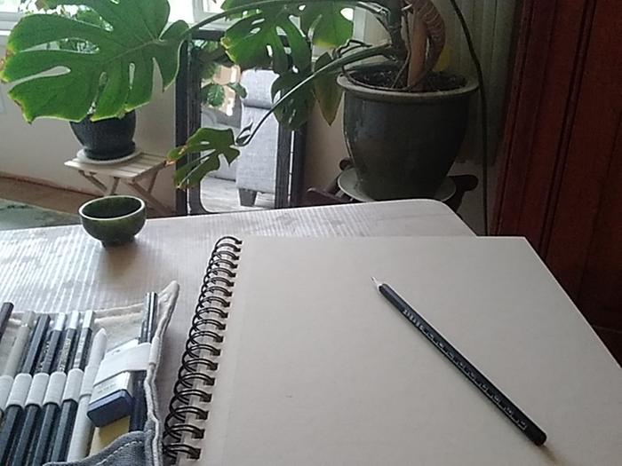Blank page day. I was going to draw the bowl, but maybe draw a plant instead?