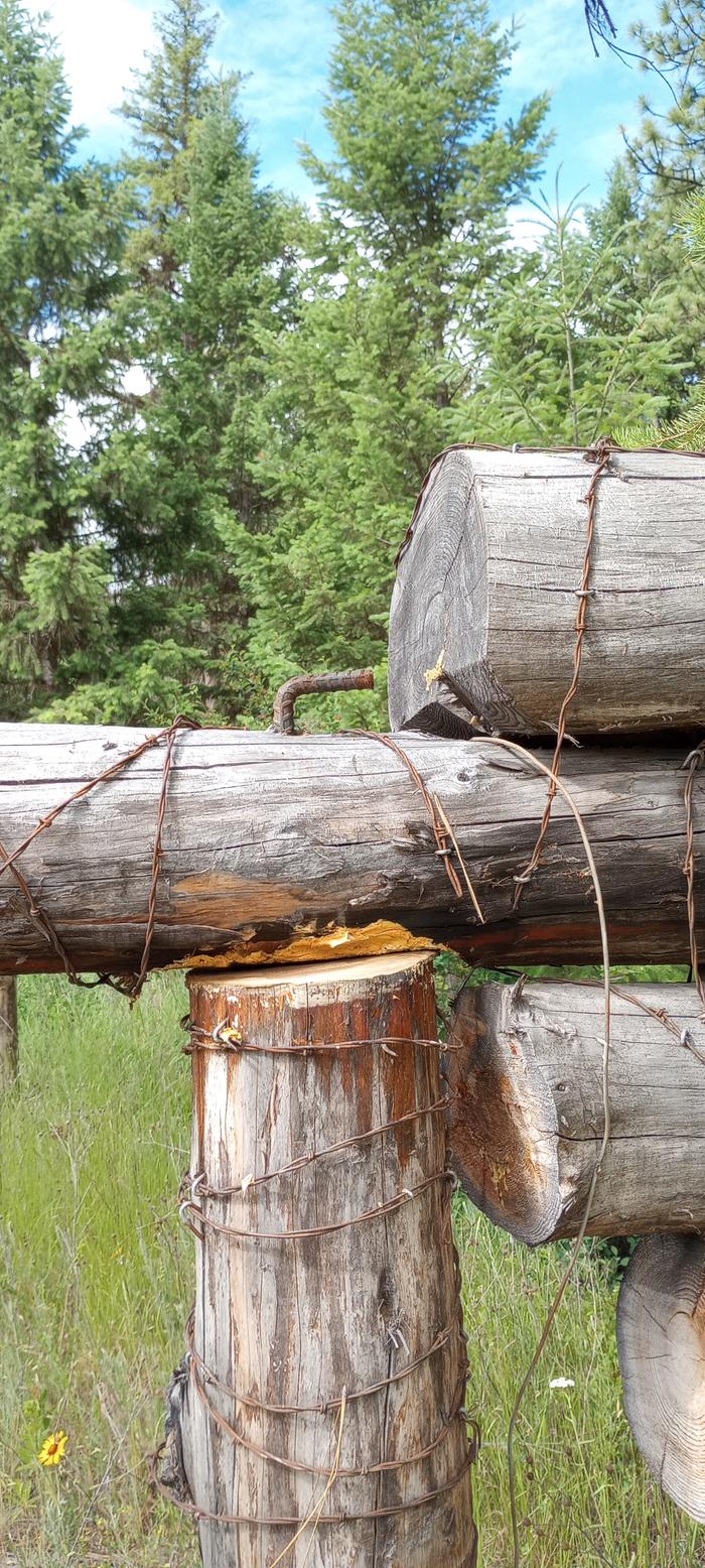 The "hinge" on which all the logs hang