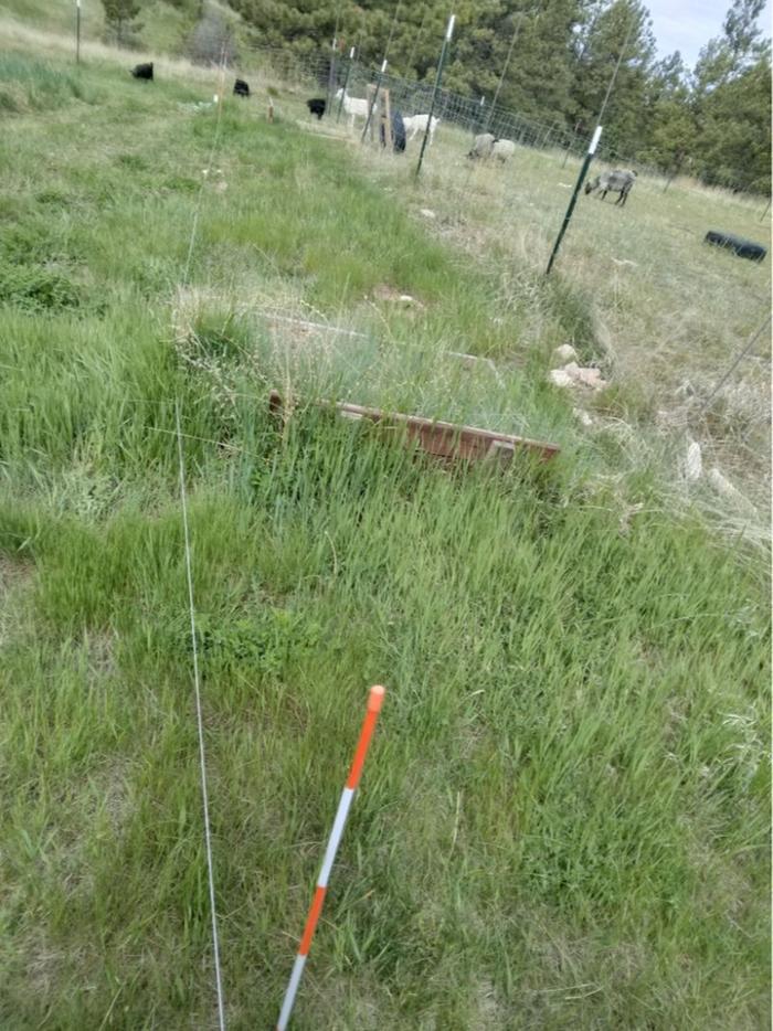 Unused horseshoe pits