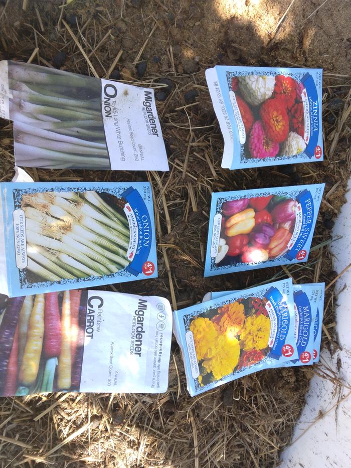 Direct seeded