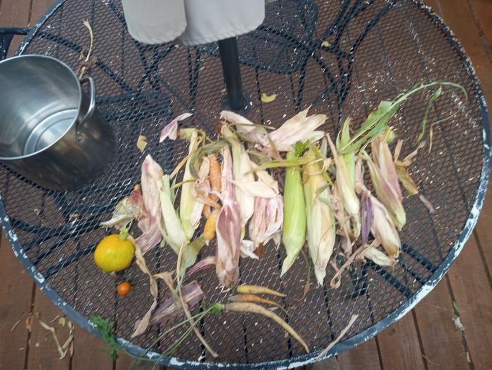 [Thumbnail for harvest.jpg]