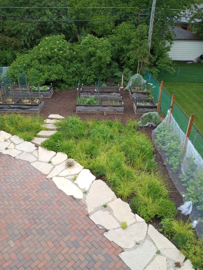 beautiful garden plants for ecological planting