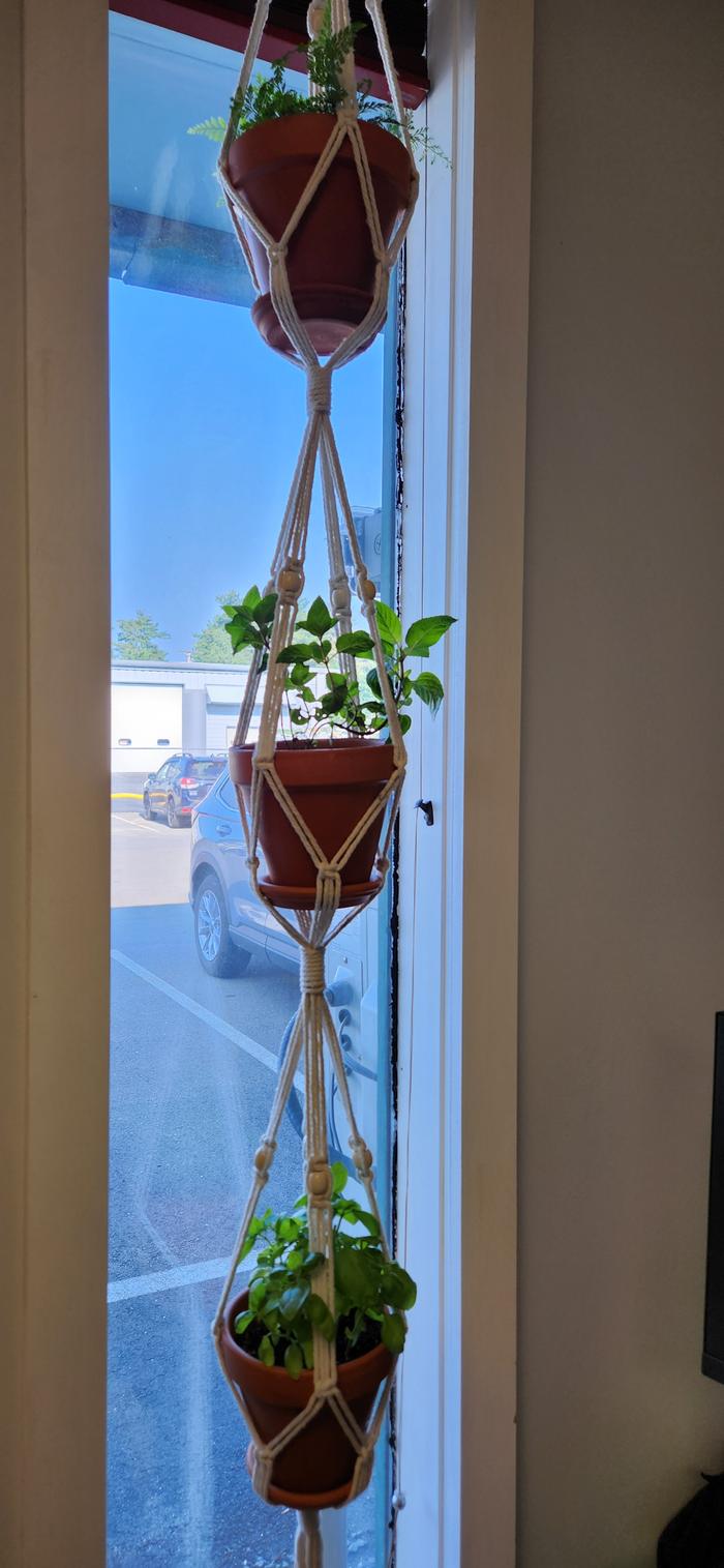 Work Window with greenery