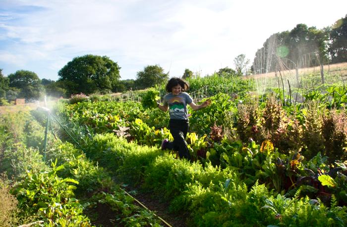 started a market garden business