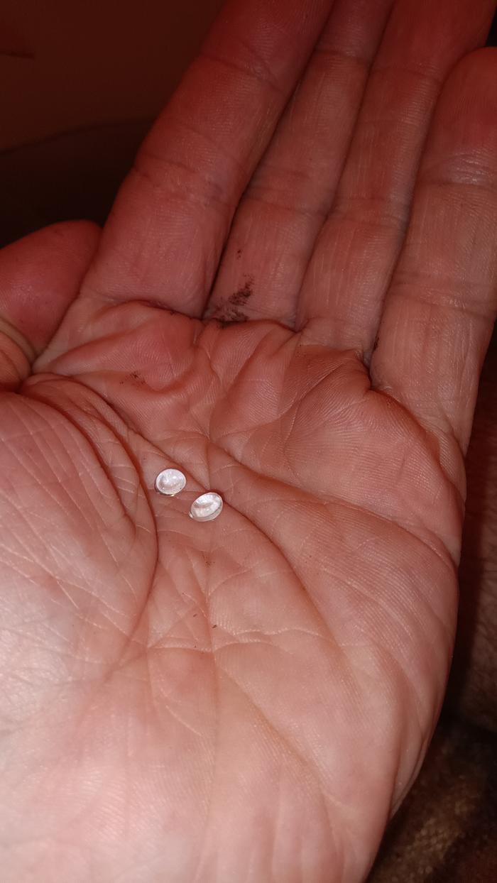 raw polymer beads