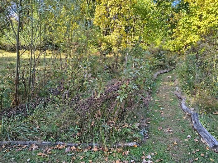 [Thumbnail for IMG_20251026_114319651_HDR.jpg]