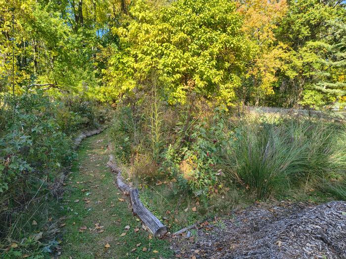 [Thumbnail for IMG_20251026_114330270_HDR.jpg]