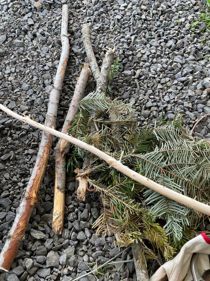 Sticks! These are Douglas fir. Smelled very Christmas-y as I was getting to work on them. 