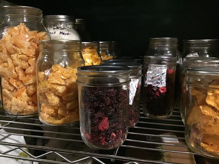 Homegrown freeze dried fruits and berries