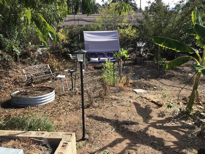 It looks empty now, but once I have added the two extra strawberry beds, and the cashew has matured, it will fill up