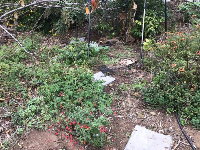 [Thumbnail for IMG_3238.jpeg]