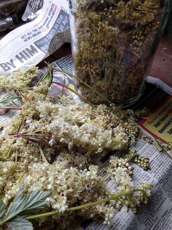 herbal pain relief
