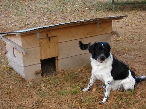 [Thumbnail for peepbarn1.JPG]