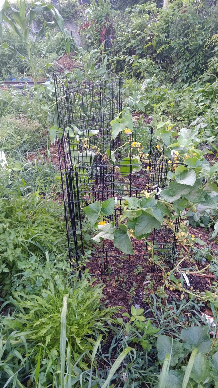 [Thumbnail for IMG_20240718_061954.jpg]