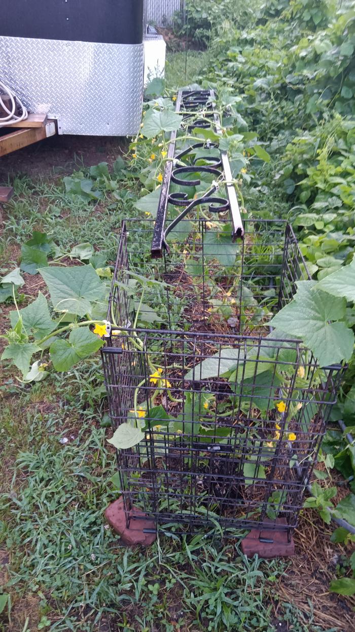 [Thumbnail for IMG_20240718_062011.jpg]