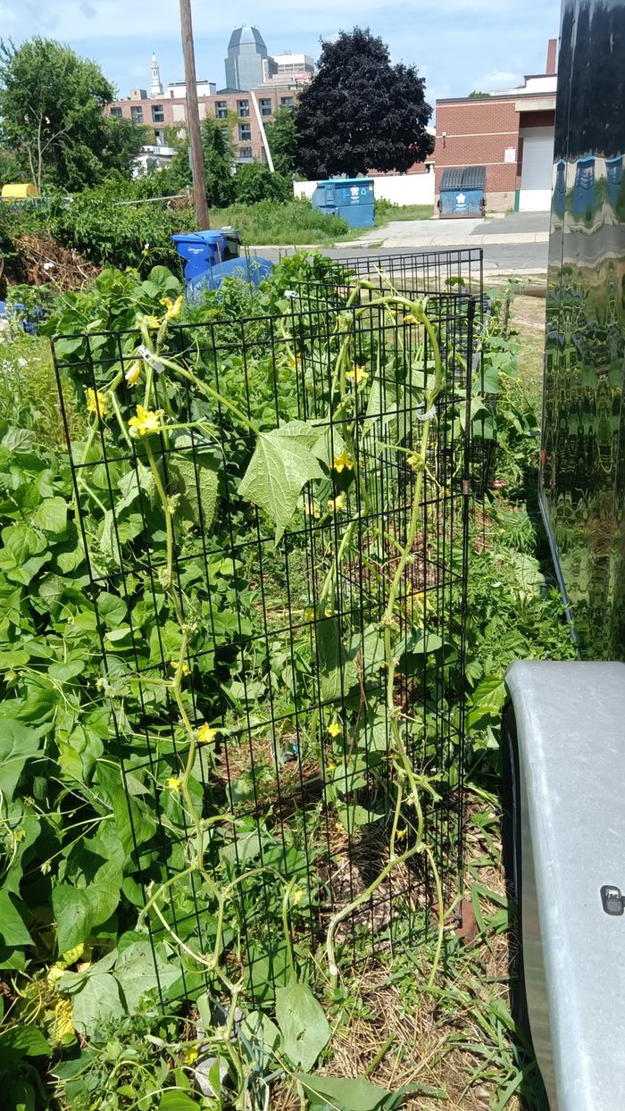 [Thumbnail for IMG_20240718_112346.jpg]