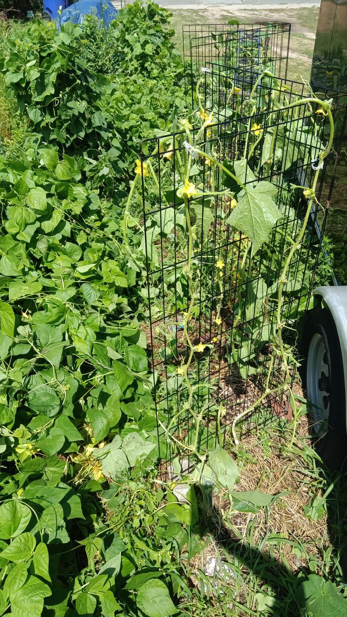 [Thumbnail for IMG_20240718_112348.jpg]