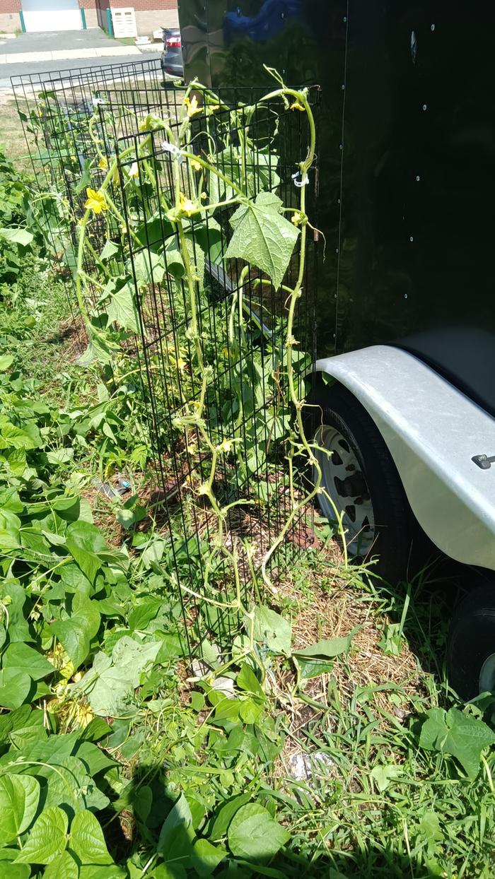 [Thumbnail for IMG_20240718_112350.jpg]