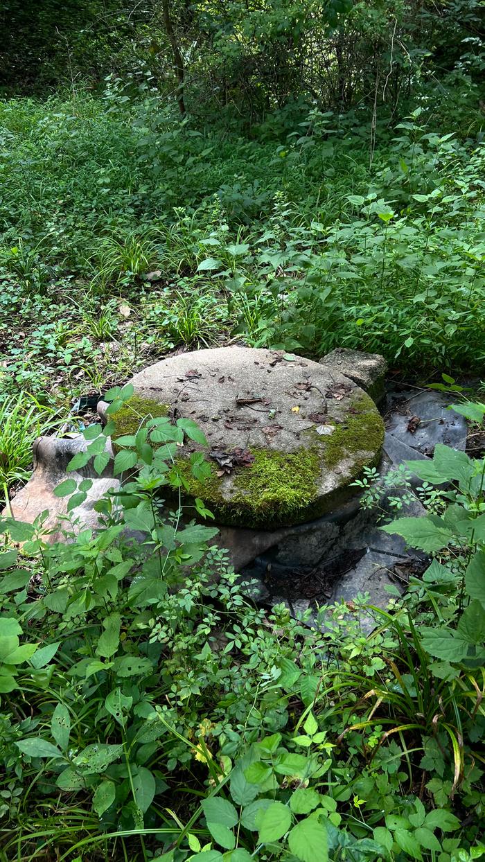 Cistern 