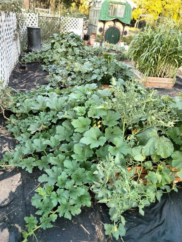 [Thumbnail for IMG20240711200406.jpg]