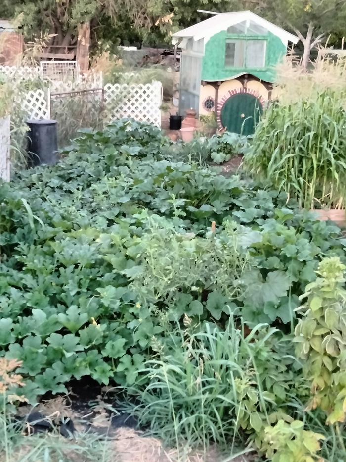 [Thumbnail for IMG20240721202944.jpg]