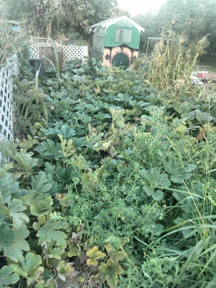 [Thumbnail for IMG20240825194002.jpg]