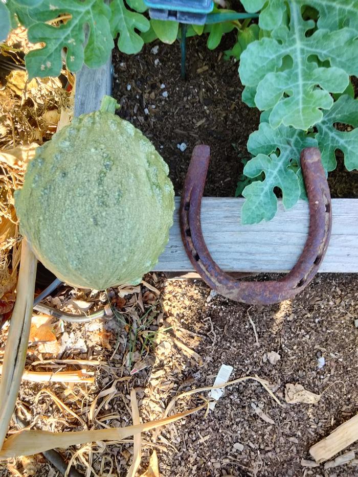 [Thumbnail for IMG20240716181942.jpg]