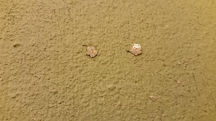 Concrete stuck to the underside of the paint chips