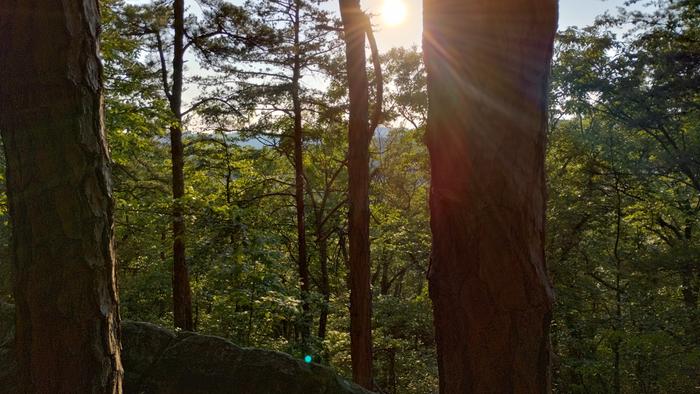 [Thumbnail for IMG_20240616_192335556_HDR.jpg]