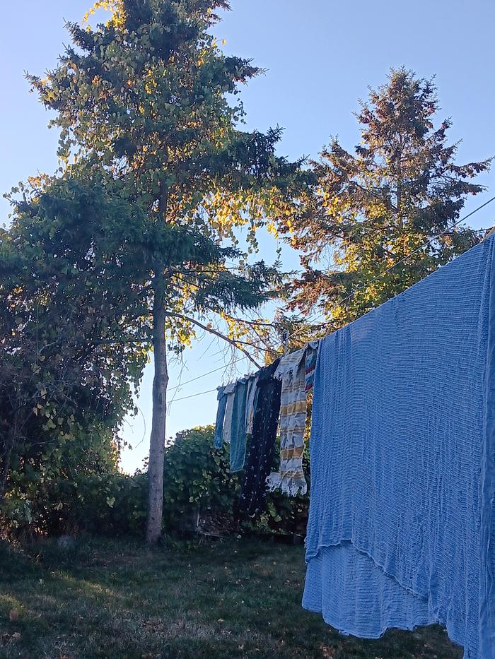 Clothesline in use