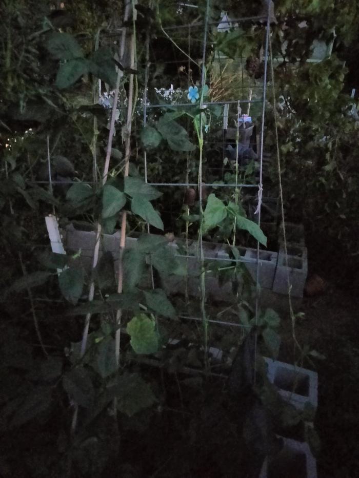 [Thumbnail for IMG20240724205335.jpg]