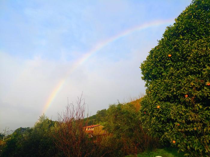 rainbow framing a house