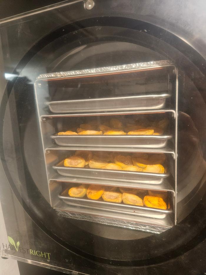Apricots in the freeze dryer