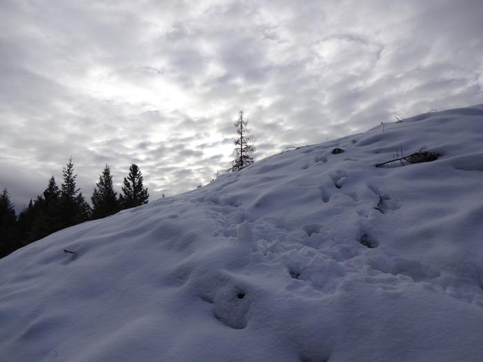 winter views of the first WOFATI