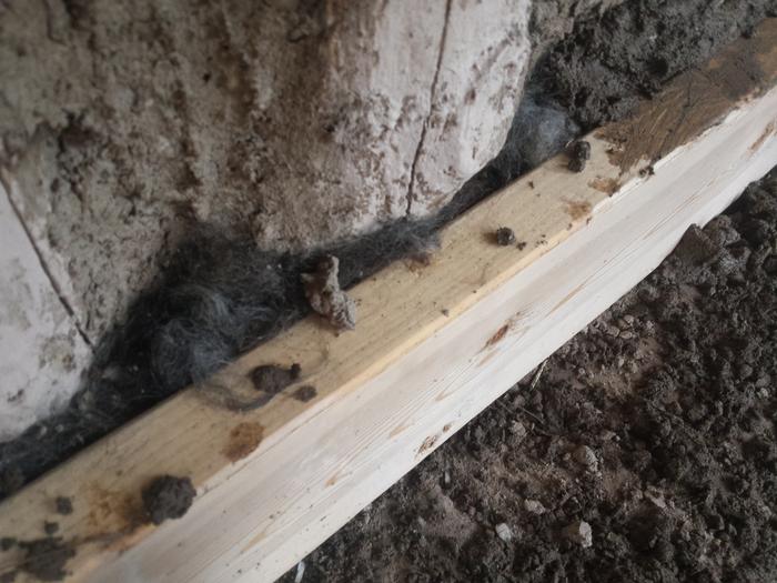 The 2x6 on the wing wall with wool stuffing and cob cap.