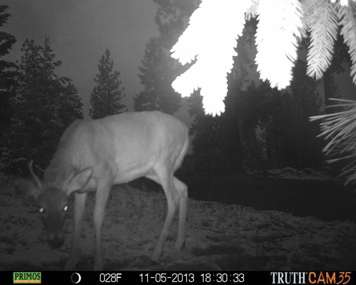 [Thumbnail for 053.JPG]