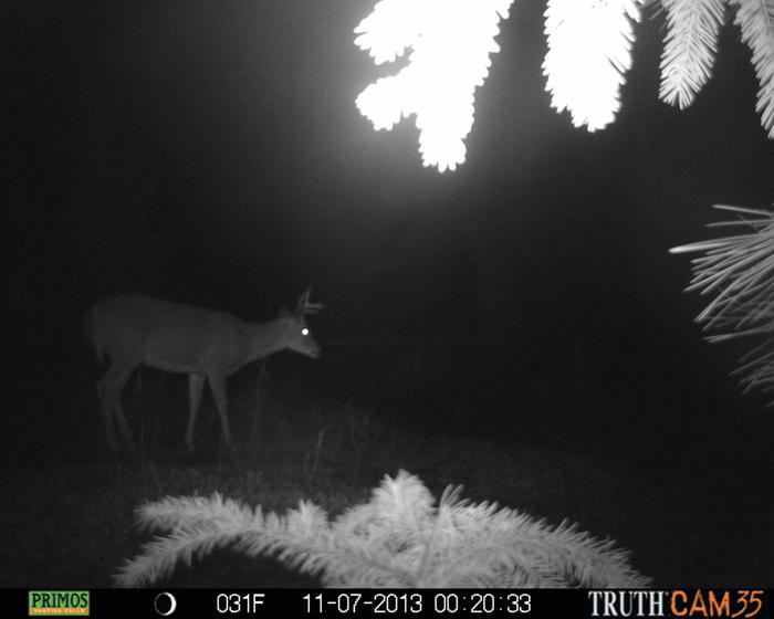 [Thumbnail for 061.JPG]