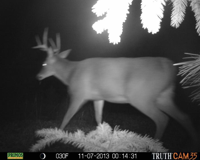 [Thumbnail for 056.JPG]