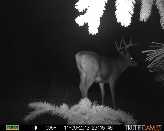 [Thumbnail for 107.JPG]