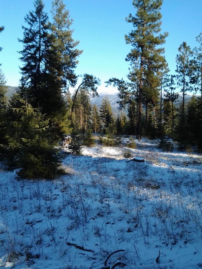 [Thumbnail for IMG_20131207_151149.jpg]