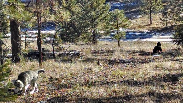 [Thumbnail for IMG_20140118_115829539_HDR.jpg]